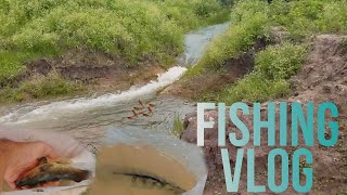 Fish Video | Big Net Fishing | 1.5 Tons Big Fish?