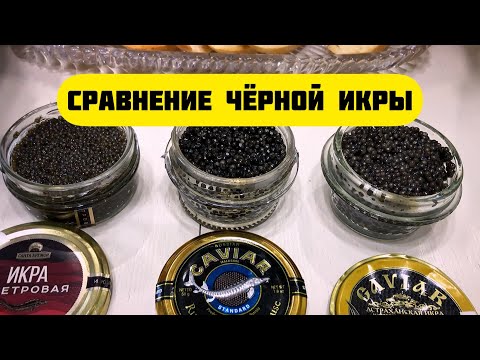 Сравнение осетровой чёрной икры. Какую икру купить?