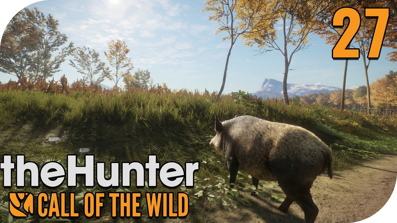 The hunter call of the wild карта животных