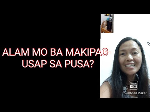 paano-makipag--usap-sa-pusa?-||-how-to-talk-to-your-cat?