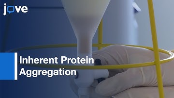Studying Changes-Inherent Protein Aggregation With Age-Caenorhabditis elegans l Protocol Preview