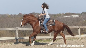 Ichi Bitsy Starlight - turns, lead changes, lope-offs! - ValleyViewRanch.net