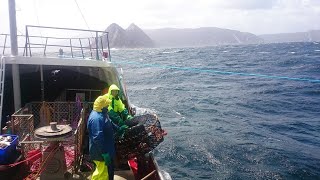 Stories of Crayfishing (Lobstering) Around Tasmania.