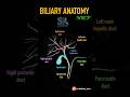 MRCP biliary anatomy. #radiology #neet #anatomy #radiologylife #mrcp