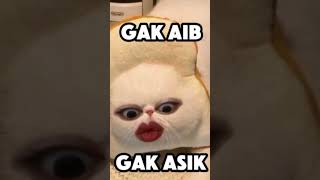 Aib Cowok U0026 Cewek La korikorizenlaaibfypgabutz
