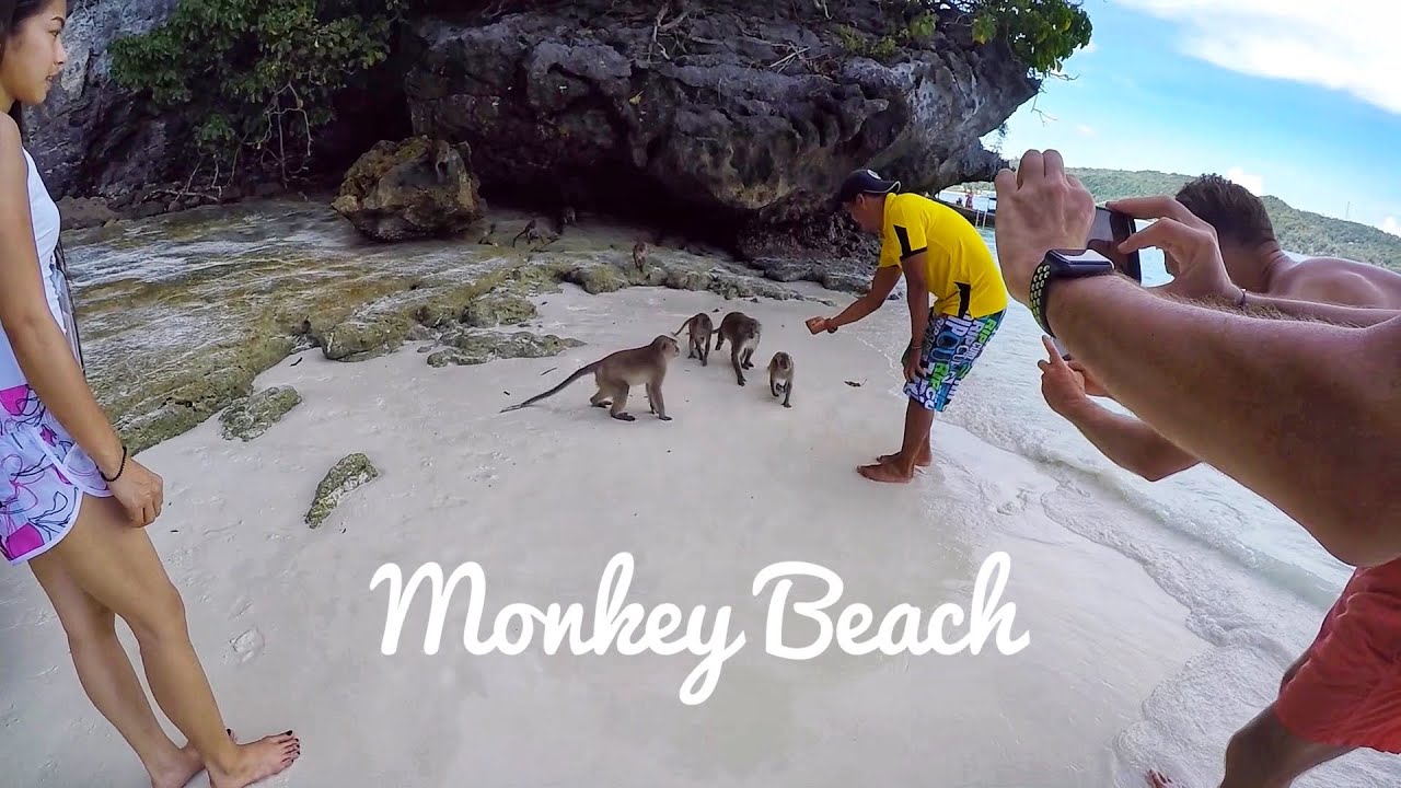 phiphi szigetek monkey beach hotel