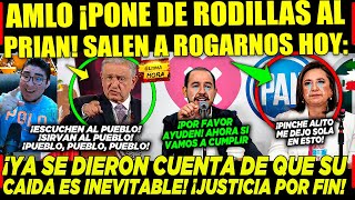 AMLO ¡PONE DE RODILLAS AL PRIAN! XÓCHITL RUEGA APOYO DE MEXICANOS ¡YA VALIERON CHETOS!