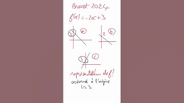 Brevet : Tracer le graphique d