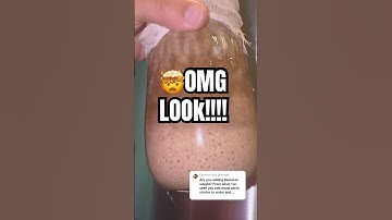 🤯I CANNOT BELIEVE IT ACTUALLY WORKED!! (DAY 5 making sourdough starter from scratch) #sourdough
