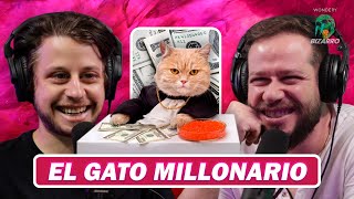 Bizarro: Gato hereda 13 millones de dólares