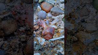 Wow Amazing Pretty Stone