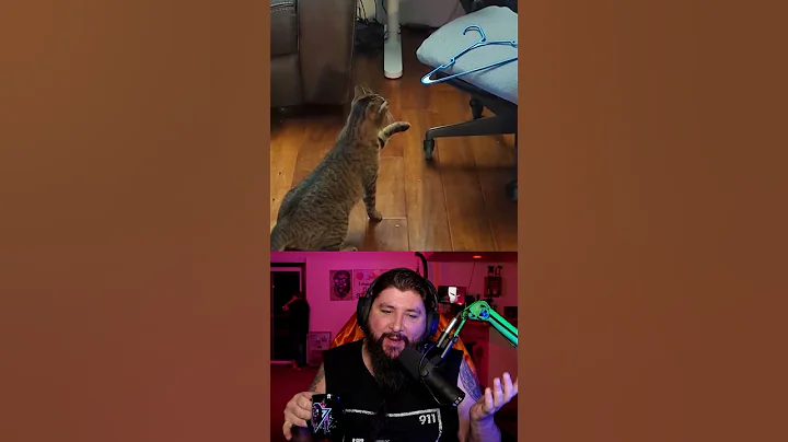 Laugh You Lose Challenge #283