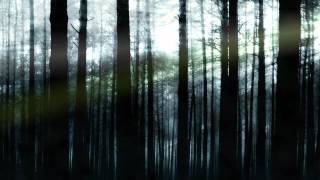 Immortal. Primal Spirits #1