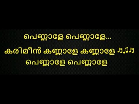 Pennale pennale karaoke with lyrics malayalam  pennale  karimeen  kannale  karaoke with Lyrics