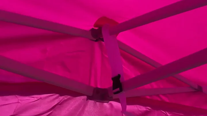 Quictent 10x10 Heavy Duty Pop Up Canopy Tent with Enclosed Sidewalls