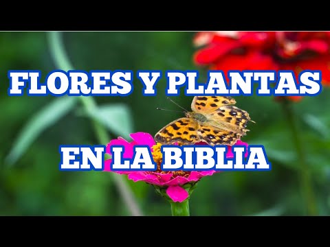 🌹 FLORES Y PLANTAS mencionadas en la BIBLIA 🌼