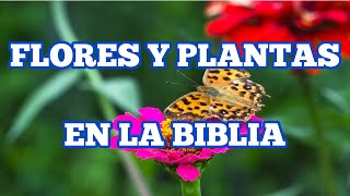 🌹 FLORES Y PLANTAS mencionadas en la BIBLIA 🌼