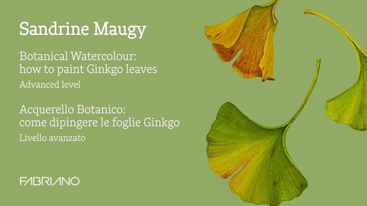 Tutorial | Botanical Watercolour with Sandrine Maugy: how to paint Ginkgo leaves