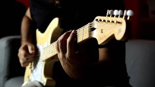 Fender Stratocaster Richie Kotzen signature