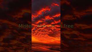 Mister Monj - I am free #deephouse #housemusic #vocalhousemusic