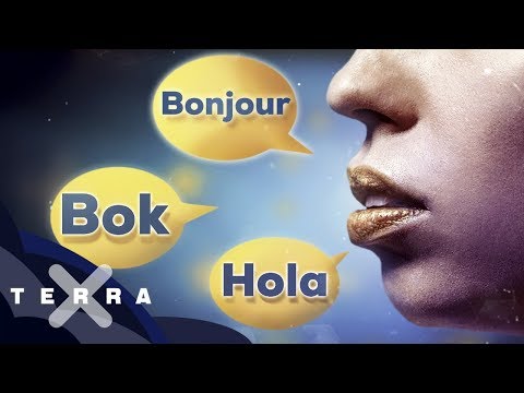 Warum spricht niemand europäisch?