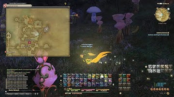 FFXIV ARR : Lv50 Scattered Scions - Walkthrough