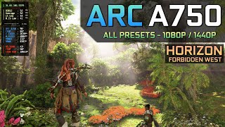 Horizon: Forbidden West - Arc A750 | All Presets - 1080P / 1440P