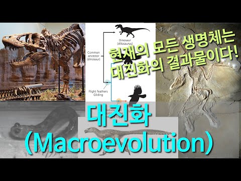 [진화론 이해하기] #3. 대진화(Macroevolution)란?