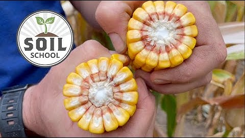 Soil School: Understanding field potential and setting yield goals