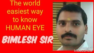 The Human Eye