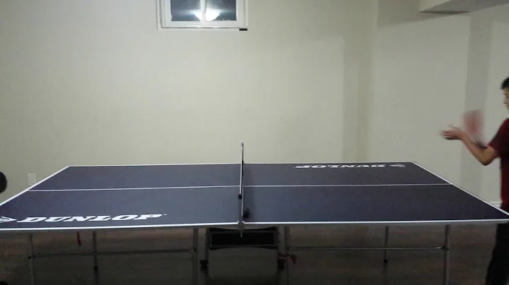 Brother's playing pingpong together