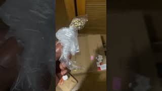 First Grow. Seed to Harvest: Fecida 1000w 2023 grow Amnesia, Bigbud, ?? seed, Gg#4, Northern Lights
