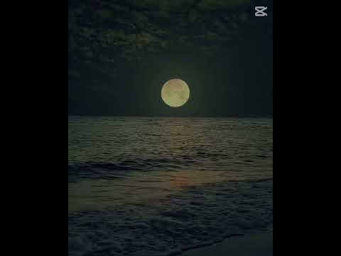 ويوم وداعنا فجرا وما اقساه من فجر لما اسمعها مدري احزن