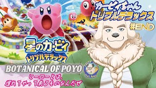 【星のカービィ トリプルデラックス】#END 今度の舞台は奥へ手前へ！～この星をかけた魂の戦い～【Vtuber/空場ハクロウタ】