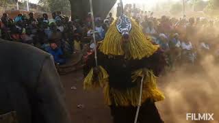 Initiation Dossi 2024 danse crocodiles et poisson