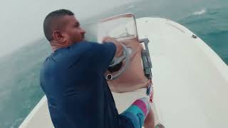 #fishing #ytshorts #youtube #needle fish
