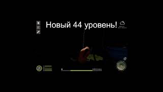 НОВЫЙ 44 УРОВЕНЬ  #рр4 #рр4 #fishing #carpfishing #carp #short #shorts