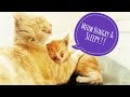 Most emotional Mother & Baby playtime