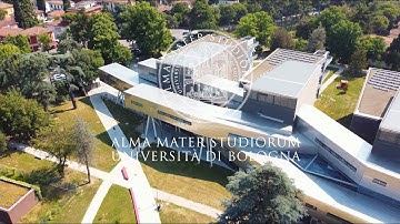 Living Values at the University of Bologna