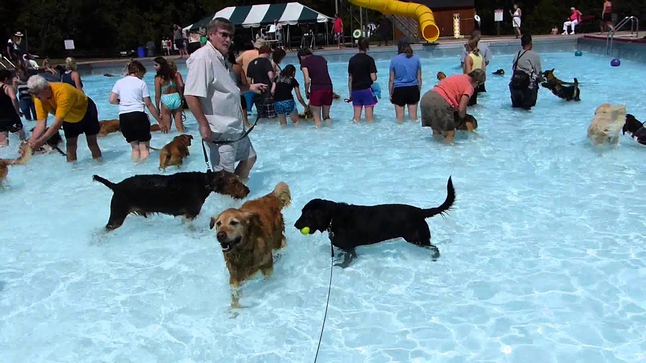 Hope' s End of Summer Big Pool Party