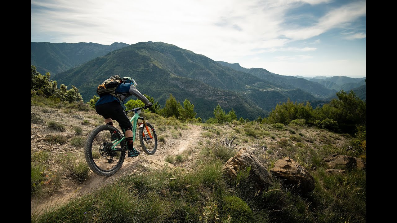 THIS IS TRANS-PROVENCE !