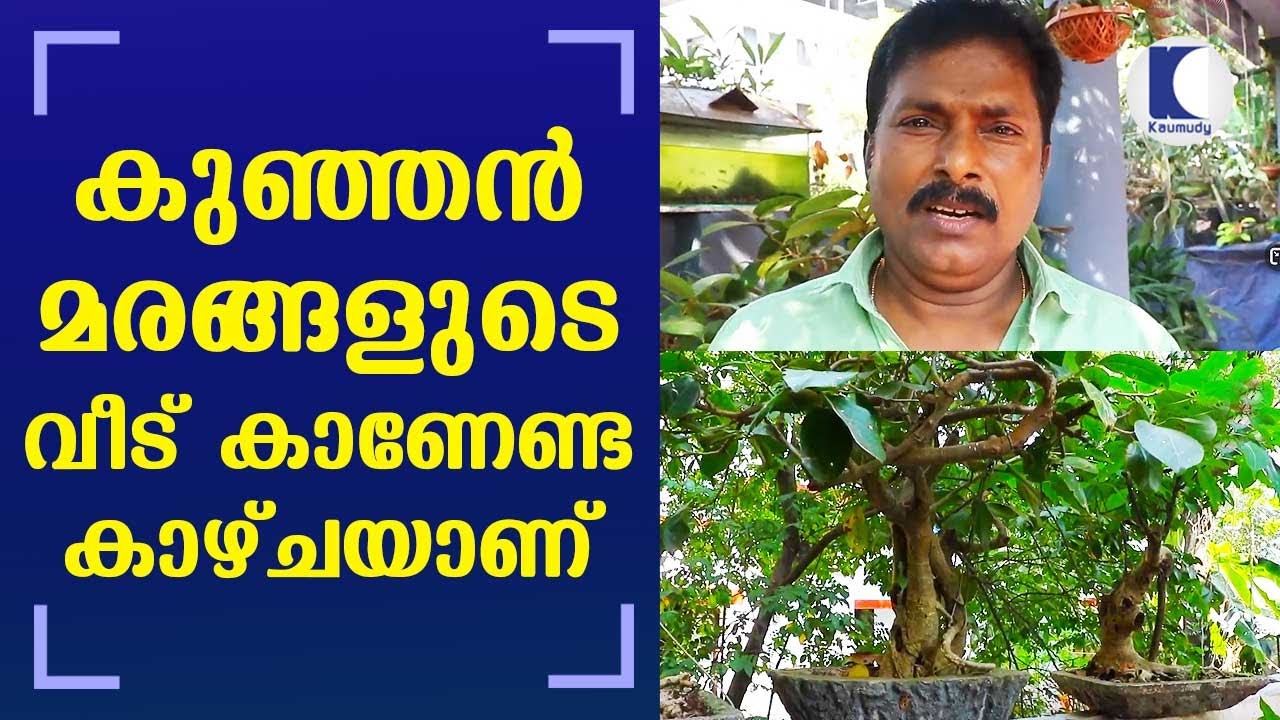 Ajayakumar who loves and cultivates bonsai trees in his home Kochi