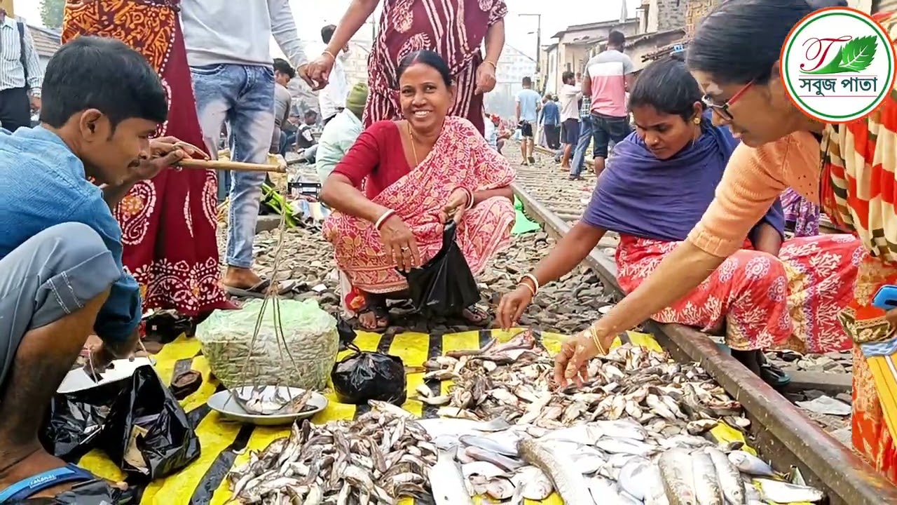 নদীর ভালো মাছ এসেছে বাজারে।।কম দামে ভালো মাছ 💯