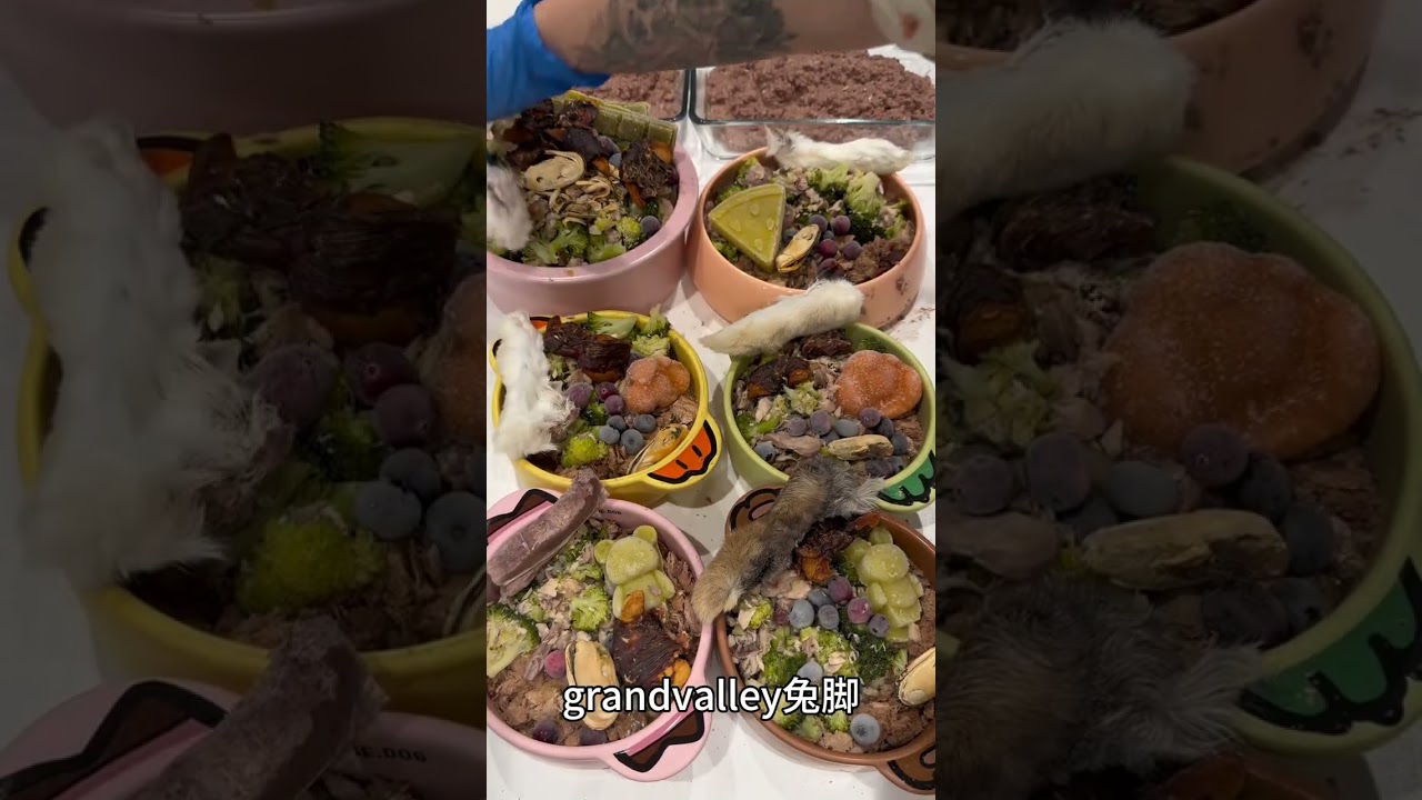 Daijia Food Channel - Vegetable matsutake Salmon and Rabbit Bone Soup 