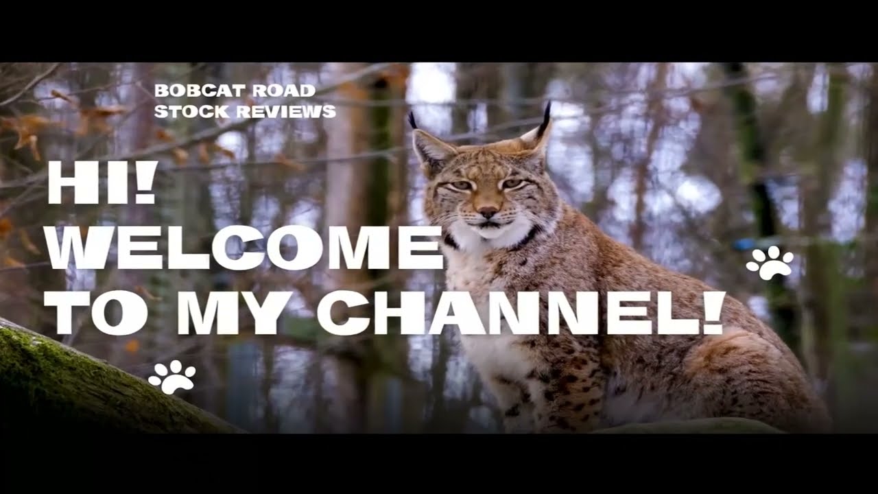 Overview of Stock CVNA - Carvana Co (2025 - Q1)