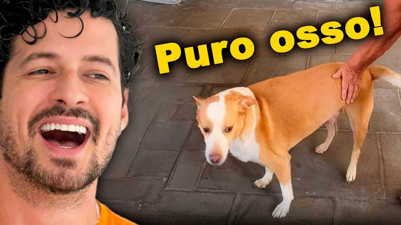 Vídeos pra você ver sozinho!