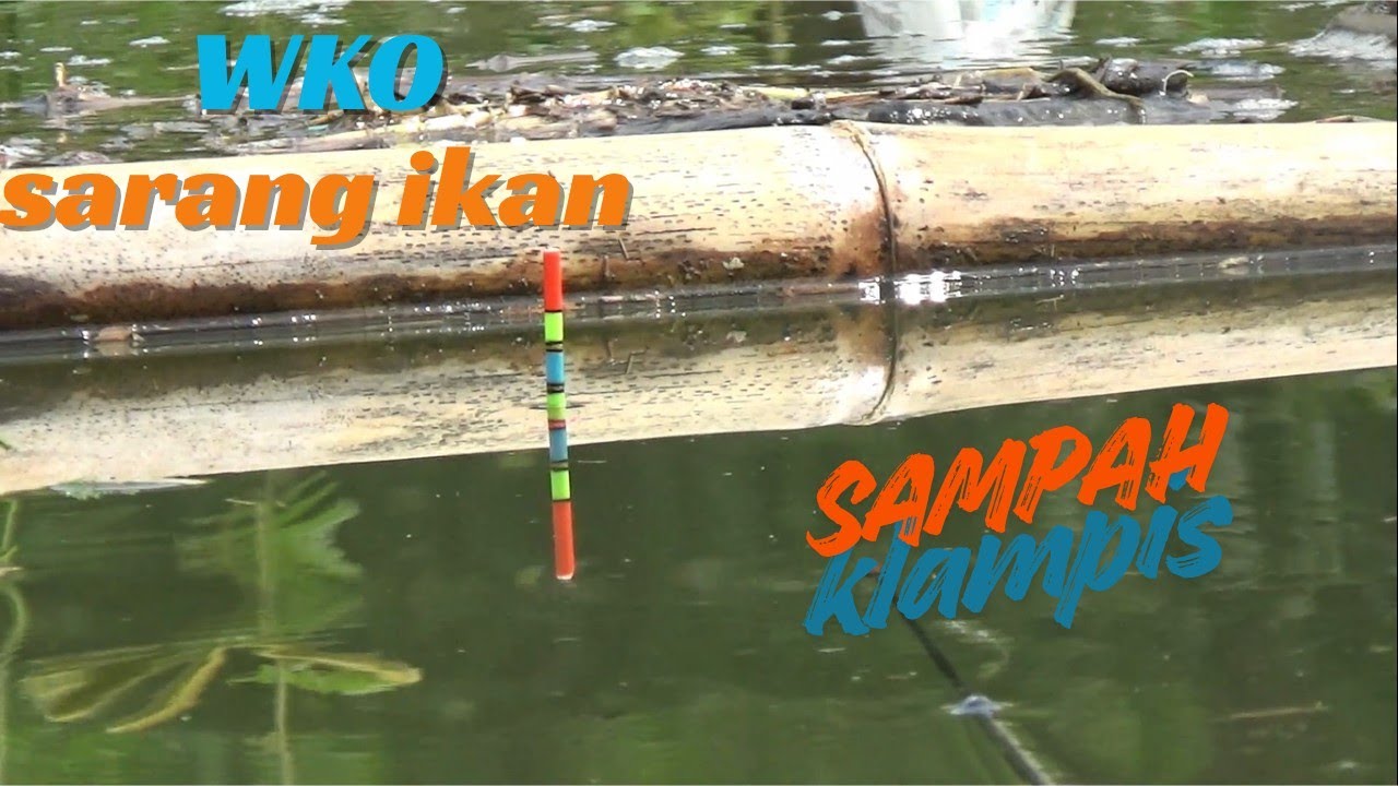 MANCING DI SPOT SAMPAH DAN KLAMPIS‼️ TERNYATA SARANG IKAN NILA 