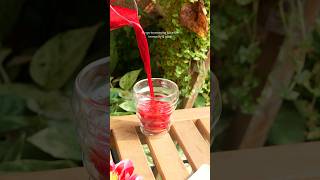 Abc Juice With Amla, Lemon & Black Pepper Healthy Morning Juice