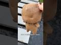 弟のなくなったぬいぐるみを見つけた 🧸