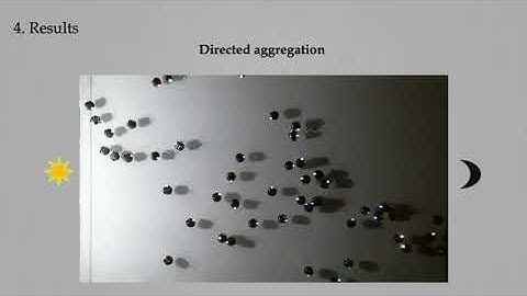 Photomorphogenesis for Robot Self-assembly